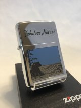 画像: No.250 ネイチャーシリーズZIPPO グレイトベア・レインフォレストＡ　z-773